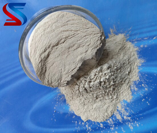 �X�\�����ϸ��X��(x��)�ۃr(ji��)��S�҈D